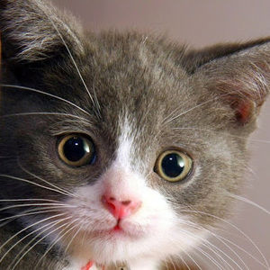 Meet your Posher, Georgia